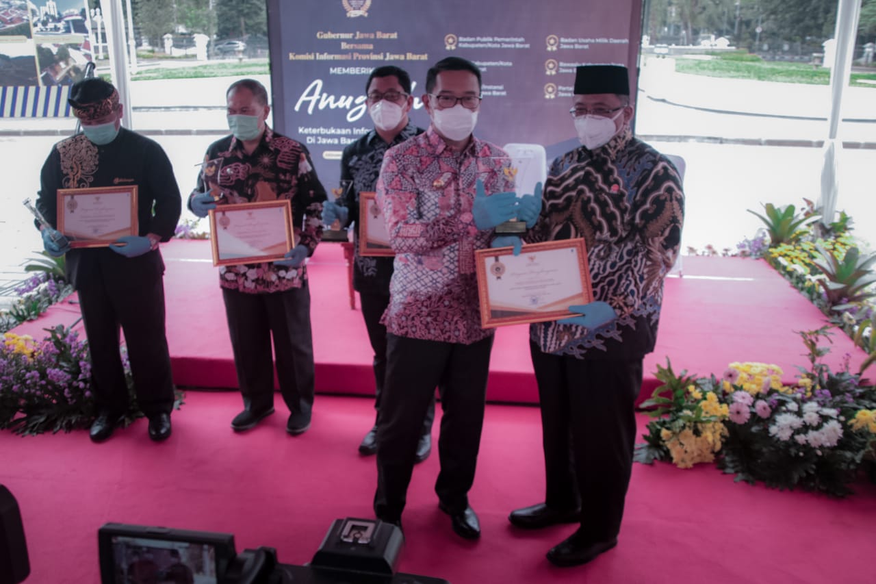 haru kamil kip